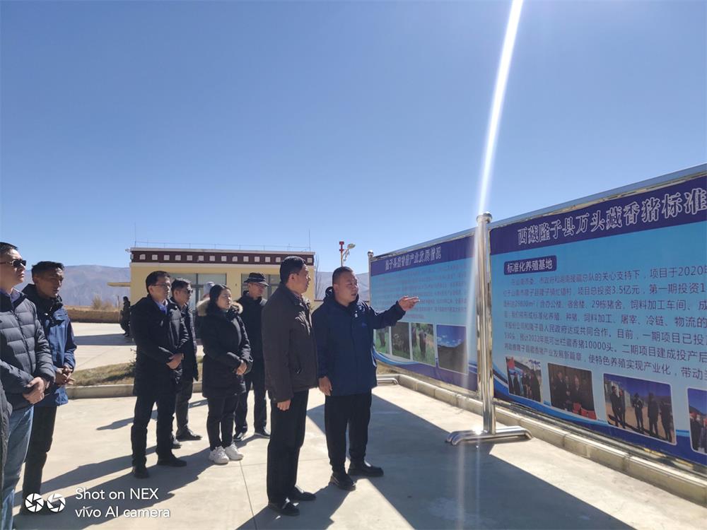 通宝TB888·官方网站