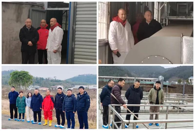 6752_看图王 通宝TB888·官方网站