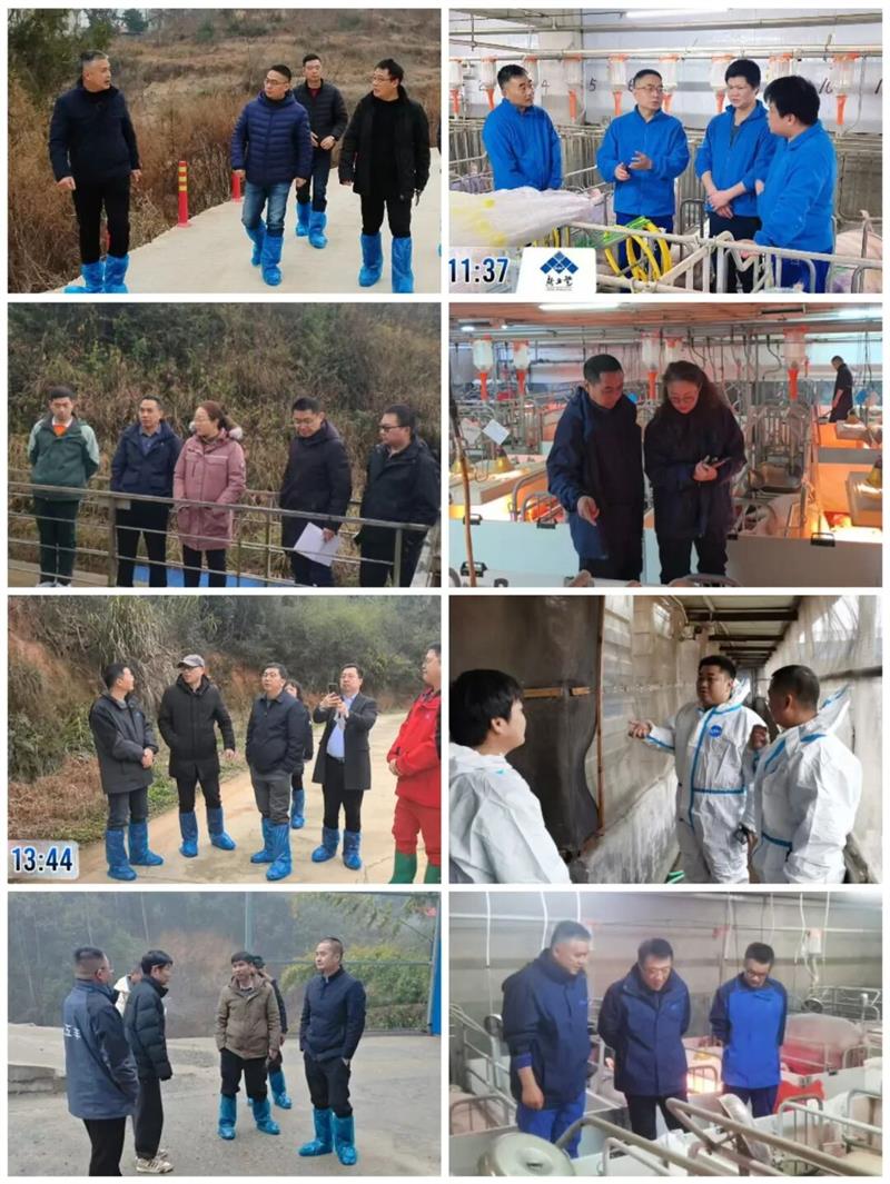 6753_看图王 通宝TB888·官方网站