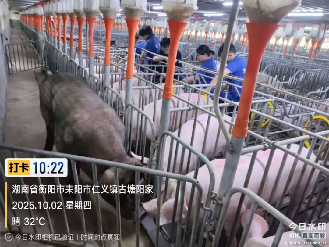6f43c771-607a-4864-afea-6041a0a38170 通宝TB888·官方网站