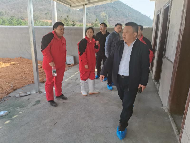 81058 通宝TB888·官方网站