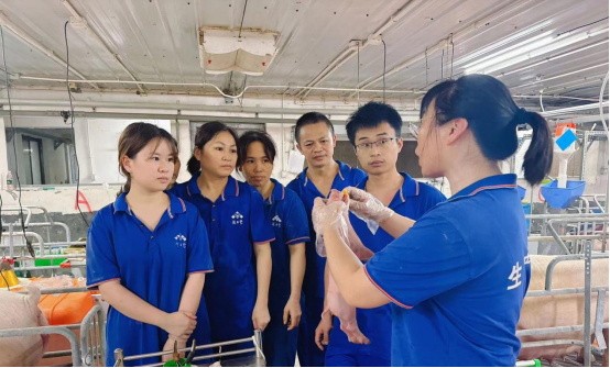 通宝TB888·官方网站
