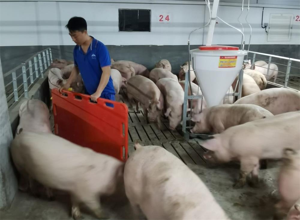 通宝TB888·官方网站