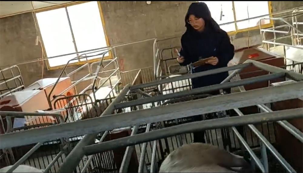 通宝TB888·官方网站
