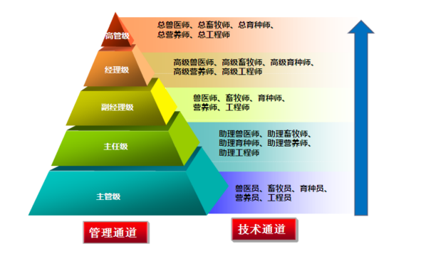 fazhan_img 通宝TB888·官方网站