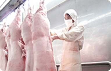 通宝TB888·官方网站